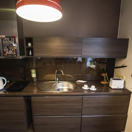 Appartamento Quiet 74M2 3 Room Apartment Near Laisves Aleja Kaunas
