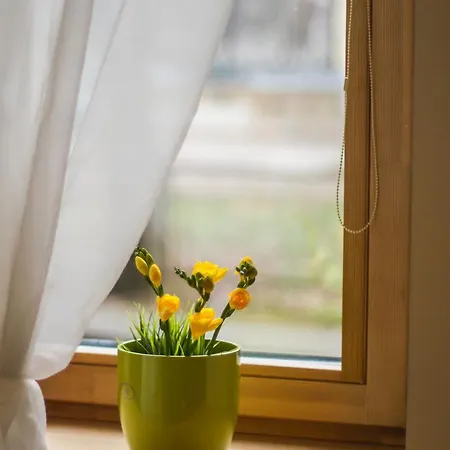 Apartmán Spacious 3 56d